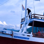 Promo Paket Wisata Open Trip Pulau Komodo 2 Hari 1 Malam Bulan Juni 2022 Murah