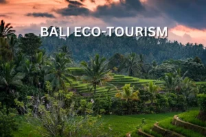 BALIECOTOURISMwebp Paket Wisata Private Trip Pulau Komodo