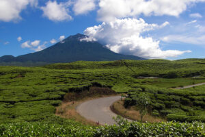 Taman20Nasional20Kerinci20Seblatjpg  Paket Wisata Private Trip Pulau Komodo
