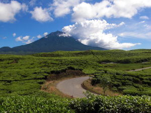 Taman20Nasional20Kerinci20Seblatjpg Paket Wisata Private Trip Pulau Komodo