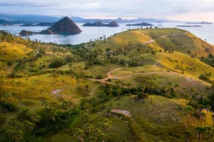 webplga85794f43f1dda90e2d02e46bd62e930webp  Paket Wisata Private Trip Pulau Komodo