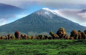 tamannasionalkerinciseblat2jpg Paket Wisata Private Trip Pulau Komodo