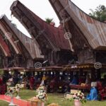 Ballo: A Traditional Alcoholic Beverage of Toraja and the Art of Jackfruit Propagation